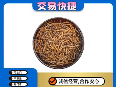 舟山高价回收散虫草